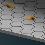 物性研ニュースに研究成果「量子臨界二次元ボーズ気体の実現」が載りました